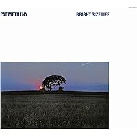 激レア!ブラジル盤! 美品! 1983年 パット・メセニー アメリカンガレージ 激レア!ブラジル盤! 美品! 1983年 パット・メセニー アメリカン